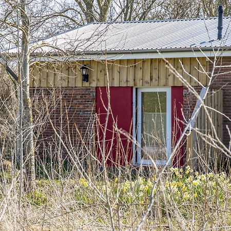 Deichgraf 1 Apartamento Friedrichskoog Exterior foto