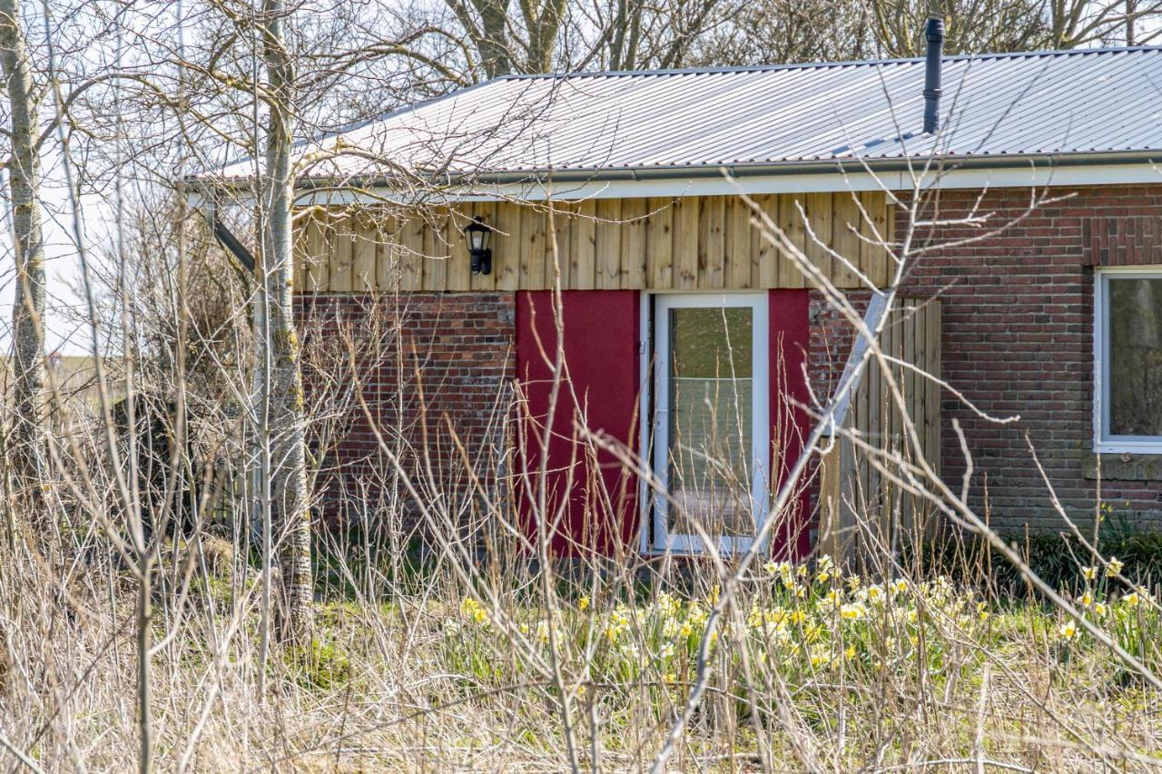 Deichgraf 1 Apartamento Friedrichskoog Exterior foto